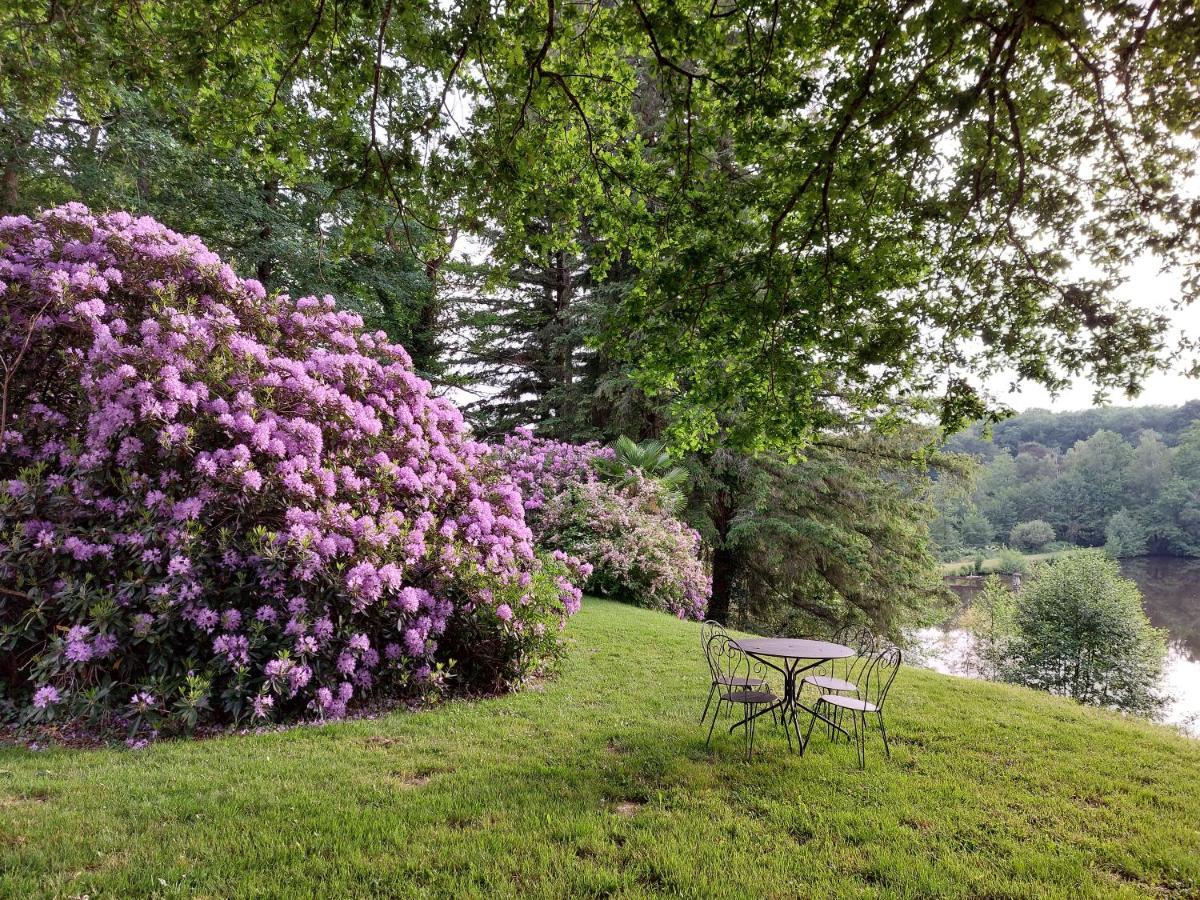 "Le Petit Bonheur" Gite Van 4 Tot 12 Personen Met Prive Vijver Van 2Ha Maisonnais-Sur-Tardoire エクステリア 写真