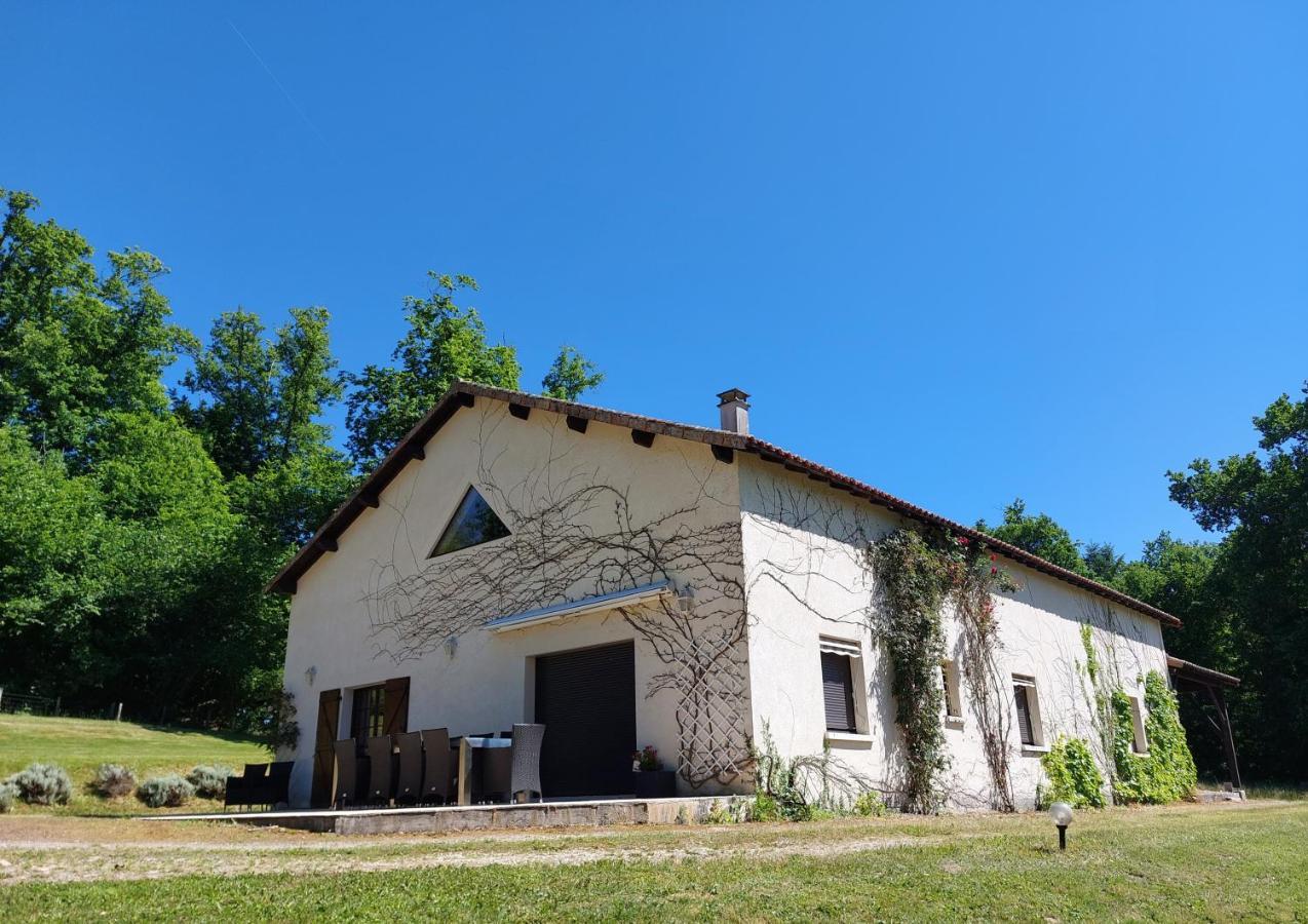 "Le Petit Bonheur" Gite Van 4 Tot 12 Personen Met Prive Vijver Van 2Ha Maisonnais-Sur-Tardoire エクステリア 写真